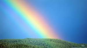 Rainbows invoke many different things to many different people. Who hasn't looked up at a rainbow in the sky and felt hope, peace and a general sense of joy? When you hear the word rainbow, what first comes into your mind?
