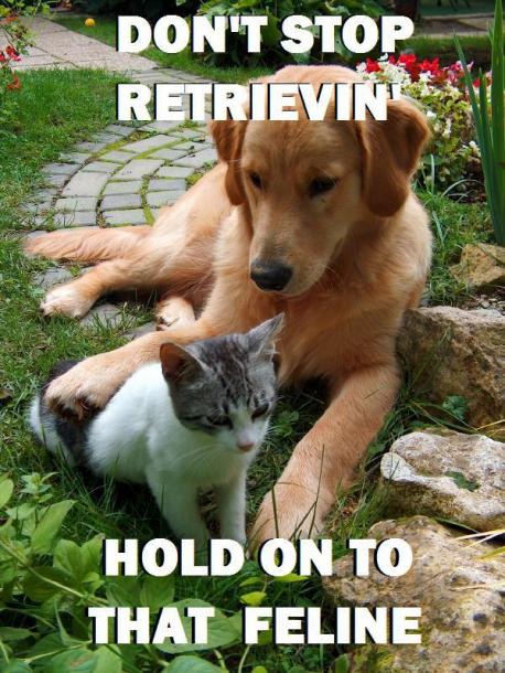 How about this one. Do you find it funny?