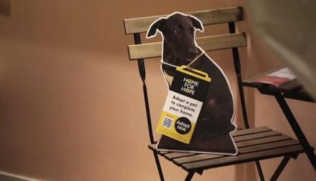 While it's not a company-wide policy (yet), IKEA stores have been known to lend a helping paw in the past. Several years ago, a store in Arizona added cut-out images of adoptable pets from Home for Hope to some of their displays to give shoppers an idea of what a four-legged friend might look like in their new space. All of the six animals featured in cutouts at the store were adopted from the Arizona Humane Society. This was following a similar endeavor done at a Singapore IKEA earlier, where at least eight pups had been adopted in Singapore. Do you think more stores should do as IKEA is doing and help our four legged friends?