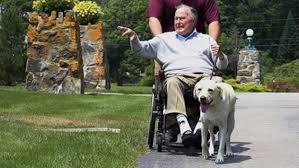 Bush had a form of Parkinson's disease that caused slow movements and difficulty balancing, among other symptoms. He frequently used a wheelchair toward the end of his life, and Sully provided assistance with daily life. Sully could open doors, pick up items and summon help. Do you know anyone who has a service dog?