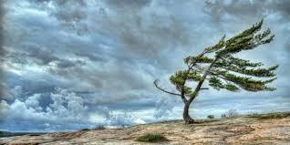 Next up, is of course, wind. How many of these facts about wind did you know?