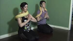 Forget goat yoga. One yoga studio in Vancouver is set to offer a yoga class with a twist -- snake yoga. A couple who loves snakes and yoga have decided to blend their two passions together and will hold a snake yoga class this January. The couple, Tristan Risk, and Joshua Burns hope that their snake yoga classes will also help folks who have a fear of the reptiles overcome it in a controlled environment. Why snakes, you might ask? 