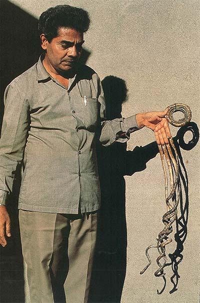 After a record 66 years, Shridhar Chillal from Pune, India, had his nails, which hold the record for the Longest fingernails on a single hand - ever, cut at Ripley's Believe It or Not! in Times Square, New York, last July. The 83-year-old had been growing his nails since 1952, when he was just a young boy. When last measured, his nails had a combined length of 909.6 cm (29 ft 10.1 in). He worked for years as a photographer, so only grew out the nails on his left hand, keeping his right hand nails trimmed. Now, pretty sure no one here has nails even close to this record, but have you ever had your nails long enough to interfere with your job, your social life or just plain life?