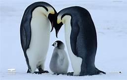 Power To The Penguins