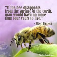 Honey which is produced by honey bees is revered as the only food that can never go bad. Honey stored properly will essentially last forever due to its unique chemical composition. Honey is created when bees collect and process nectar from flowers. The process works like this: bees find flowers with nectar, they hover over the flower and flap their wings removing some moisture from the nectar, then they collect the nectar in their mouths and hold it there, the bees have glands in their mouths which secrete an enzyme, that enzyme mixes with the nectar to create honey, the bees then essentially vomit the honey back up when they get back to their hive and it is stored in honeycomb (which bees make out of wax). Do think it is important to do what we can to help the bees survive?