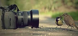 Capturing Life And Preserving Memories -- August 19 was World Photography Day