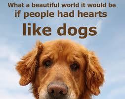 According to NationalDogDay.com, the day was founded in 2004 by pet and family lifestyle expert and animal advocate Colleen Page as away to bring attention to the plight of animasl and encourage adoption. The day was chosen in honor of when Page's family adopted her first dog, 