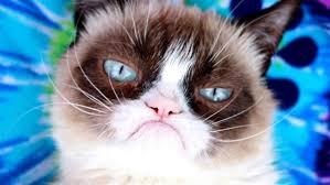 Of course, no cat list could be complete without one of the most famous cats ever. Grumpy Cat, whose real name was Tardar Sauce, was known for her permanently 