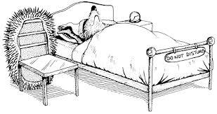 There are many winter survival strategies in the animal world, and one of the most interesting is hibernation. Some animals enter a state of