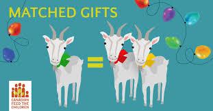 One of my favorite gifts of charity is to donate the gift of livestock to a country in need. Through organizations like Canadian Feed The Children or Plan International Canada (and I'm sure there are similar organizations in the U.S.) you can actually gift a poor country with chickens, goats or other livestock, These are not symbolic gifts, but real tangible livestock that can make all the difference to a village in need. When you choose a goat, your money goes directly to a goat program in a country like Cameroon. So the gift you choose is exactly where your money goes. Have you ever given a gift like this?