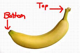 I once worked (many years ago) with a woman who ate her bananas peel on. While we all thought that was strange, she actually was getting lots of extra nutrients from that peel -- it is In fact, edible, and packed with nutrients, such as high amounts of vitamin B6 and B12, as well as magnesium and potassium. It also contains some fibre and protein. Who knew? Most of us do peel our bananas, and some peel down from the 
