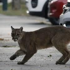 Here are just a few of the sightings that people all over the world are noticing. Have you heard about any of these stories?