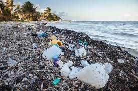According to the Department of Fisheries and Oceans, about eight million tonnes of plastic waste enters the world's oceans each year. One of the biggest threats is 