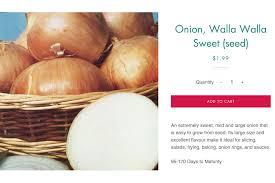 When it comes to aphrodisiacs, maybe the lowly onion is now in first place! From April to June 2020, Facebook algorithms removed 35.7 million pieces of content that were in violation of adult nudity and sexual activity policies. Ads for Canada's most sexually provocative onions, the Gaze Seed Company's Walla Walla onion seeds were pulled down from Facebook after the social media giant told the produce company that its images went against advertising guidelines. Facebook admitted the ad was picked up by an errant algorithm, and was restored. Ironically, the controversy surrounding this error made for better publicity than the actual ad could ever have. On its Facebook page, the seed company had fun creating mock-ups of what Facebook thought it was seeing. Can you see how an algorithm could sense that this was a 