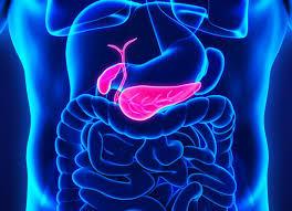 Pancreatic cancer occurs within the tissues of the pancreas, which is a vital endocrine organ located behind the stomach. The pancreas plays an essential role in digestion by producing enzymes that the body needs to digest fats, carbohydrates, and proteins. The pancreas also produces two important hormones: glucagon and insulin. Pancreatic cancer often doesn't show symptoms until it reaches the advanced stages of the disease. For this reason, there typically aren't any early signs of pancreatic cancer. Even once the cancer has grown, some of the most common symptoms can be subtle. Since the survival rate is very dependant on how early the cancer is diagnosed, and the symptoms are so subtle, the survival rate for pancreatic cancer is lower than many other forms of cancer. Do you know these subtle symptoms of pancreatic cancer?