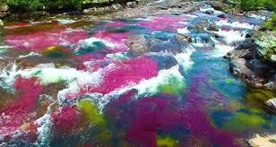 Caño Cristales, a river in the South American country of Columbia, is referred to as the 