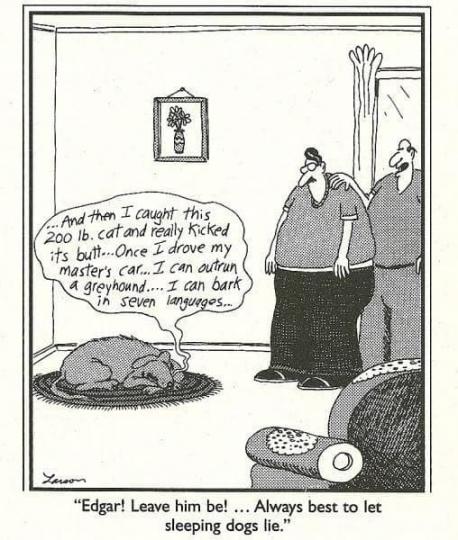One of my favourite comics is The Far Side, and Gary Larson is the master of the pun. Do you find this one funny?
