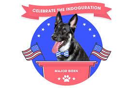 To celebrate, the Delaware Humane As*ociation teamed up with Pumpkin Pet Insurance to throw Major an