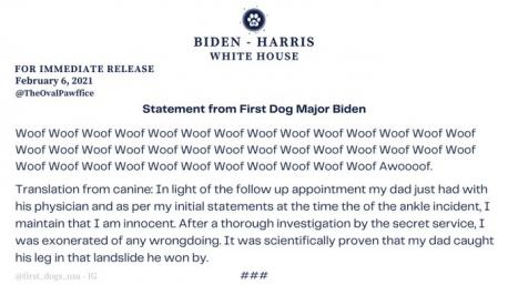 Some fans of the first dogs, who are thrilled to see the return of pets to the White House, even joined in on the fun, creating an