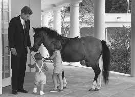 Major and Champ mark the return of dogs to the White House after four years, as Trump and his family did not have a dog. Ever since George Washington, the president's pets have been a topic of interest for the public. And more than just dogs and cats have occupied the Oval Office. Here are some of the rather