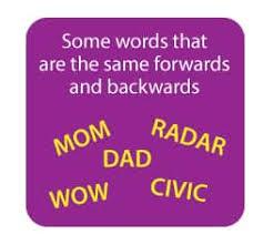 If you love word play, you're going to love this survey! A palindrome is a word or phrase that is the same forwards and backwards. Some are pretty simple -- DAD is DAD, MOM is MOM, WOW is WOW, and one that we may all know from school (apparently the famous example taught) RACECAR is RACECAR! But some are not as obvious. Have you ever realized that these words were the same forwards and backwards?