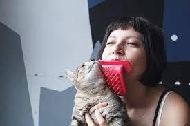 I like cats, and enjoy playing with my sister's new kitten, but this novelty cat brush is, in my opinion, just going too far. The ads for it say