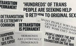 Detransitioning means stopping or reversing gender transition, which can include medical treatment or changes in appearance, or both. Detransitioning does not always include regret. The updated transgender treatment guidelines note that some teens who detransition 