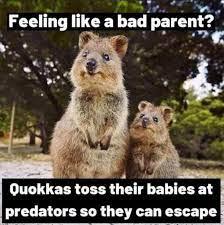 Ever feel like a bad parent? (OK, so some of you are not parents, but for the purposes of this survey, just go with it...) You may feel better to know that one of the world's most photographed animals, the Australian quakkas will actually sacrifice their babies in order to escape predators. Recently a meme has been circulating that says these little creatures 