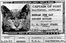 Cats were valued members of ship crews in the mid-20th century. They were skilled rodent catchers, and their presence helped control the population of rats and mice on ships. These pests were notorious for damaging supplies and spreading diseases, so having cats aboard was essential to the safety of the crew. To acknowledge the cats' contribution and ensure their safety during international travels, they were given passports. These passports were not legally recognized, but they were a unique and lighthearted tradition. They typically consisted of a small booklet with pages that included the cat's name, description, and an area for their paw print. Did you know this?