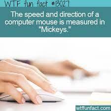 In a totally unrelated bit of trivia, the speed of a computer mouse is measured in 