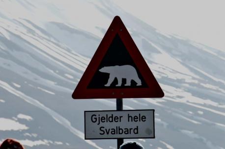 Longyearbyen, a town in Norway on the archipelago of Svalbard, is the northernmost settlement in the world with a population of more than 1,000 people. If the name isn't strange enough, this town comes with some really strange rules. Because hundreds of polar bears live in the area, residents are required to carry and be able to use a high-powered rifle if they leave the settlement. However, guns are not allowed indoors. To protect the Arctic bird population, another law bars anyone in Svalbard from having a cat as a pet. The purchase of alcohol is heavily regulated. Residents have a monthly quota of alcohol they can purchase. All alcohol must be purchased on the archipelago; no tax-free alcohol can be imported from the mainland. Also, no one can be buried in Longyearbyen. The settlement has a small graveyard, but no one has been interred there in approximately 70 years because the soil is permafrost, which means a corpse does not decompose after it is buried. Would you be able to live in a place with these types of laws? The law has given rise to the saying that it's illegal to die in Longyearbyen.