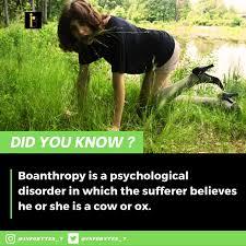 Boanthropy is a psychological disorder where a person believes himself or herself to be a bovine. History's most famous sufferer of boanthropy may have been Nebuchadnezzar II of Babylon. According to the Biblical prophet Daniel, Nebuchadnezzar was punished by God and lived like a cow for seven years. Have you ever heard of this psychological disorder?