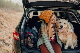 And if you love to travel, but can't imagine being away from your pup, you are in good company. 78% of American pet owners travel with their pets each year, with dogs making up 58% of the pets traveling around the world. Some European cities are especially dog friendly, notably Paris and Barcelona. More and more hotels are turning
