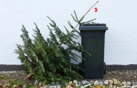 Do you take your Christmas tree down the day after Christmas?