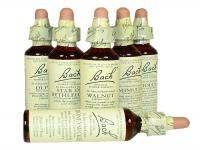 The original Bach Flower Remedies is a safe and natural method of healing discovered by Dr. Bach in the 1920-30th in England. They gently restore the balance between mind and body by casting out negative emotions, such as, fear, worry, hatred and indecision which interfere with the equilibrium of the being as a whole. The Bach Flower Remedies allow peace and happiness to return to the sufferer so that the body is free to heal itself. Did you know this information?