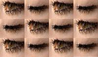 The creepy/freaky lashes aren't for sale, but if they were would you buy a pair?