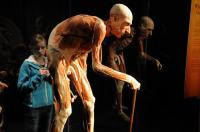Would you ever bring your kid(s) to the BODIES The Exhibition museum?