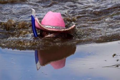 In Wales they celebrate bog snorkeling every August. Does this sound fun?