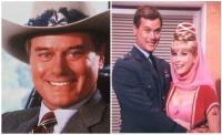 Which Larry Hagman character was your favorite?