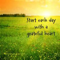 The study also mentioned that people who keep gratitude journals on a weekly basis are healthier, more optimistic, and more likely to make progress toward achieving personal goals. How often do you say 