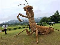 In Japan they found a creative way to use straw left over from their rice harvest organizing a 