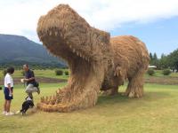 The closest thing to straw art I know of is a scarecrow. The impact of the scarecrow extends beyond its immediate utilitarian function. In Kojiki, the oldest surviving book in Japan (compiled in the year 712), a scarecrow known as Kuebiko appears as a deity who cannot walk, yet knows everything about the world. Curiously, they have their own festivals worldwide. In the UK, the Urchfont Scarecrow Festival was established in the 1990s and has grown into a major local event, attracting up to 10,000 people annually for the May Day Bank Holiday. The 'pumpkin people' come in the fall months in the valley region of Nova Scotia, Canada. They are scarecrows with pumpkin heads doing various things such as playing the fiddle or riding a wooden horse. Meaford, Ontario has celebrated the Scarecrow Invasion since 1996. Are there any scarecrows festivals in your area?