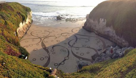 Andres Amador (BA in Environmental Science) joined the Peace Corps and started a regular career, till he visited Burning Man in 1999 and decided to change his lifestyle. After quitting his job, in 2004, he started creating sand-paintings up to 100,000 square feet in size when the tide was low. Have you seen his work before this survey?