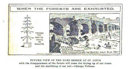 (Source: Cara Giaimo, Rituals Week) President Roosevelt thought trees should stay outdoors - so in 1902, his 8-year-old son Archie took matters into his own hands. Starting at the turn of the century, Christmas trees faced an environmentally-minded backlash. In an editorial, the Minneapolis Times warned that the annual harvest 