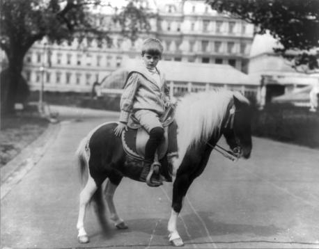 The Roosevelts didn't use to have a Christmas tree. Edith Roosevelt probably had enough to deal with: they had 6 rambunctious kids and a growing menagerie of animals. Having so many kids and pets, would you have considered having a Christmas tree anyway?