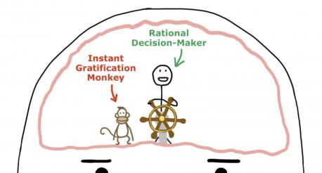 The Rational Decision-Maker wants to have us do whatever makes sense to be doing right now. Sometimes it makes sense to be doing things that are easy and fun, like when you're having dinner or going to bed or enjoying well-earned leisure time. That's why there's an overlap. Sometimes they agree. But other times, it makes much more sense to be doing things that are harder and less pleasant. And that's when we have a conflict. For the procrastinator, that conflict tends to end a certain way every time, leaving him spending a lot of time in an easy and fun place that's entirely out of the Makes Sense circle called the Dark Playground. Is there someone near you that can't keep their Instant Gratification Monkey under control?