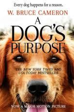 The story goes around a dog coming back to life, trying to find his purpose and his relationship with his first chosen human. I should admit I had tears rolling during most of the movie. I loved it. It reminded me so much about my dog, and previous ones I had that did make a huge difference in my life. If you watch the movie, was it emotional for you?