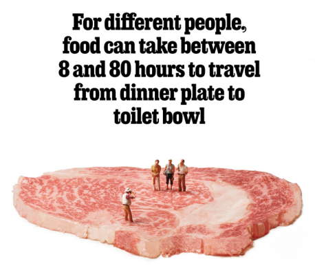 Here's a further weakness in the calorie-counting system: the amount of energy we absorb from food depends on how we prepare it. Chopping and grinding food essentially does part of the work of digestion, making more calories available to your body by ripping apart cell walls before you eat it. That effect is magnified when you add heat: cooking increases the proportion of food digested in the stomach and small intestine, from 50% to 95%. The digestible calories in beef rises by 15% on cooking, and in sweet potato some 40% (the exact change depends on whether it is boiled, roasted or microwaved). So significant is this impact that Richard Wrangham, a primatologist at Harvard University, reckons that cooking was necessary for human evolution. It enabled the neurological expansion that created Homo sapiens: powering the brain consumes about a fifth of a person's metabolic energy each day (cooking also means we didn't need to spend all day chewing, unlike chimps). Did you ever consider this fact as important when you were thinking about weight control?