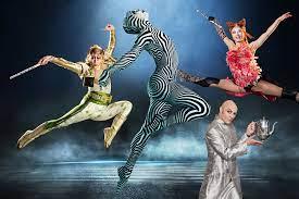 Circque Du Soleil. Are these shows worth it? If so which one would you recommend in the comment box as there are a few.