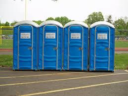 My sister Ronda is having a barbecue at her house for the Fourth of July. Instead of the guests using her bathroom, she will have the guests using a portable bathroom. Do you think this is reasonable or a bad idea?